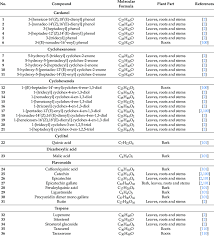 Image result for Lannea schweinfurthii