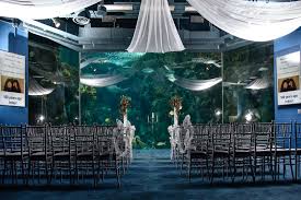 Under the sea room decal, ocean them room, whale decal, nursery decal, wall stickers, fish, octopus, modern room decor. How To Create An Under The Sea Wedding Theme Zola Expert Wedding Advice