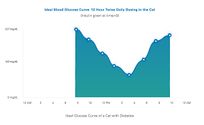 Glucose Curves For Cats Vetsulin