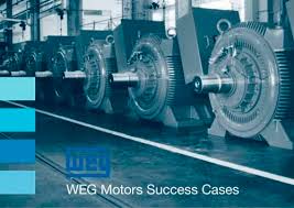 (weg) was a panelist in the orlando business journal's virtual roundtable discussion on florida's. Weg Motors Success Cases Weg Pdf Catalogs Technical Documentation Brochure