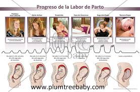 Pin On For Birth Professionals