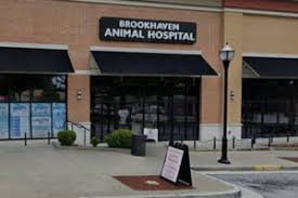 29 reviews of vernon woods animal hospital my first experience with a vet here in the city since i recently rescued a critter from the fulton shelter. Innovetive Petcare Welcomes 5 More Practices Innovetive Petcare