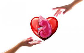 التبرع بالأعضاء في الإمارات من البرامج الحديثة التي تم تدشينها في دولة الإمارات العربية المتحدة بعد أن تم. ÙØªØ­ Ø¨Ø§Ø¨ Ø§Ù„ØªØ³Ø¬ÙŠÙ„ Ù„Ù„ØªØ¨Ø±Ø¹ Ø¨Ø§Ù„Ø£Ø¹Ø¶Ø§Ø¡ Ø¨Ø¹Ø¯ Ø§Ù„ÙˆÙØ§Ø© ÙÙŠ Ø§Ù„Ø¥Ù…Ø§Ø±Ø§Øª Ù‚Ø±ÙŠØ¨Ø§ Ù…Ø¬Ù„Ø© Ù‡ÙŠ