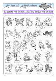Learn the alphabet with abc animals song for children. Animal Alphabet Bw Key Esl Worksheet By Funki