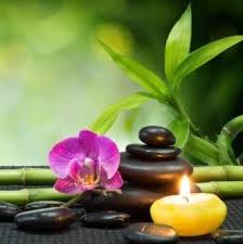 Translation dictionary english dictionary french english english french spanish english english spanish: Norwich Spa Home Facebook