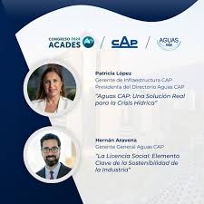 Ivonne Mitchell Flores