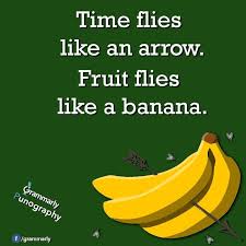 Time Flies Like An Arrow Fruit Flies Like A Banana Meaning Fruit Flies Pun Fruit Flies Fruit Banana