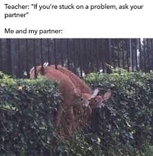 19 Hilarious Memes Cant Stop Laughing Girls 3 Really Funny Memes Friendship Memes Funny Relatable Memes