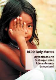 REDD Early Movers