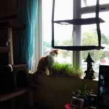 Lark Martin (@LarkMartin3)