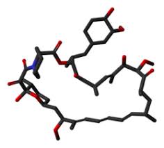 Image result for Sirolimus