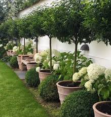 Such A Clever Idea Nete Hojlund Gardenflowers Gardendesign Gardenideas Gardening Garde Diy Backyard Landscaping Backyard Garden Design Boxwood Garden