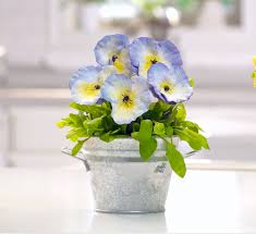 Check spelling or type a new query. Mrs Meyer S Compassion Flower Multi Surface Everyday Cleaner