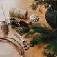 Happy River Festive Forest Wreath Workshop  event image