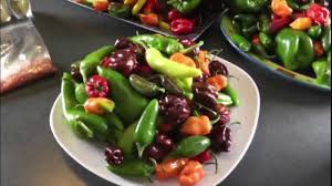 Keep an eye on them, turning every few minutes or so. How To Dehydrate Chili Peppers And Make Chili Powders Chili Pepper Madness