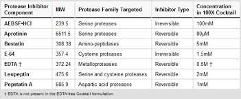 Many naturally occurring protease inhibitors are proteins. Thermo Scientific Halt Protease Inhibitor Cocktail 100x Proteinpurifikation Extraktion Und Reinigung Von Proteinen Fisher Scientific