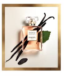 Epingle Sur Fragrance