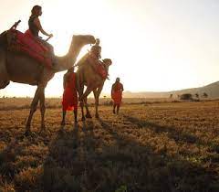 Lewa wildlife conservancy‚ also known as lewa downs‚ lies in laikipia in the foothills of mt kenya and has savannah plains‚ rolling hills and. Elewana Lewa Safari Camp Enjoy