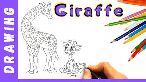 Check spelling or type a new query. Drawing A Baby Giraffe With Mom Youtube