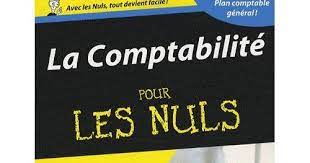 Livre La Comptabilite Pour Les Nuls Pdf Cours Fsjes