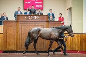 Goff petroleum is fully operational. Le Prezien Blue Bresil Lights Up Goffs Uk Hit Spring Sale Yorton Farm