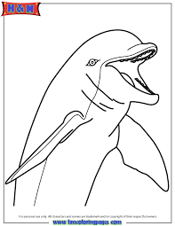 Vector illustration of animal coloring page. Cute Cartoon Dolphin Coloring Page Free Printable Coloring Pages Coloring Home