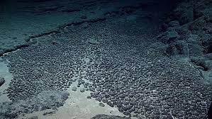 Nodules are variable in size, shape, and composition, and are layered internally. Exploring Effects Of Deep Sea Mining Polymetallic Nodule Extraction May Cause Long Term Reduction Of Carbon Flow Throughput The American Ceramic Society