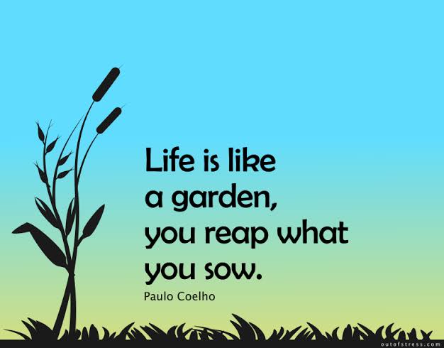 42 'Life Is Like A' Quotes Filled With Amazing Wisdom