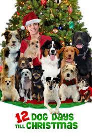 Here, the top nine christmas movies on hulu to watch right now. 28 Best Christmas Movies On Hulu 2020 Holiday Films To Stream On Hulu