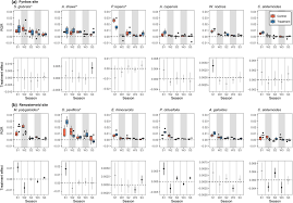 Image result for Anthospermum ammannioides