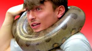 Rainbow ball pythons for sale in the united states. You Won T Believe These Rainbow Snakes Brian Barczyk Youtube