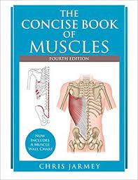 Muscles are grouped together in pairs on your skeleton. Free Download The Concise Book Of Muscles Fourth Edition Full Pdf Online By Kenlar Maggiebook789 Medium