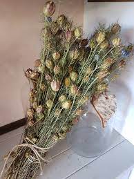 Bouquet Natural Dried Flowers Nigella Natural Green Etsy Dried Flowers Flowers Green