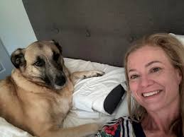 Anatolian Shepherd loves cuddles and sleeping with owners