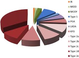 Heterogeneity Of Diabetes The Pie Chart Represents The