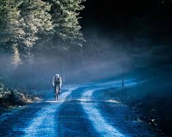 Sam Ingle (@samingle_) • Instagram photos and videos