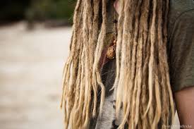 Shampoo your hair as normal to strip away oils and dirt. How To Care For Your New Dreads Divine Dreadlocks