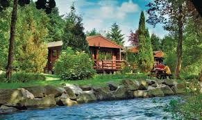 They didn't have any previous building experience, so studied books, videos and taught themselves as they went along. Riverside Log Cabins Crieff Dunira Self Catering Holidays And Short Break Family Holidays In Lodges Offers Available In October November December April