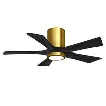Check spelling or type a new query. Modern Brass Ceiling Fans Allmodern