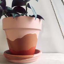 In pots syndrome, the sympathetic nerve supply to the lower limbs does not function properly and so check on inspire website under pots. How To Paint A Terracotta Pot