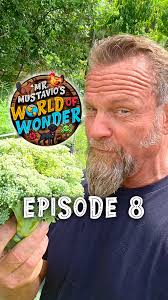 NEW! Episode 8 of Mr. Mustavio’s World of Wonder! @mrmustavio, ➡️ Follow  Mr. Mustavio