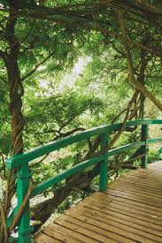 A Visit To Claude Monet S Garden In Giverny France Monet Garden Giverny Monet Garden