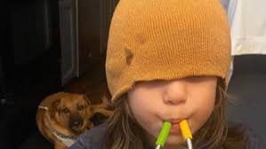 Fundraiser by Scott Tarbox Tarbox : Misha's Road to Recovery