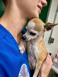 I WISH YOU COULD SEE HOW MUCH...