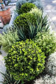 The Structured Garden Karen Fabian Designs In 2020 Dry Garden Australian Garden Design Cottage Garden