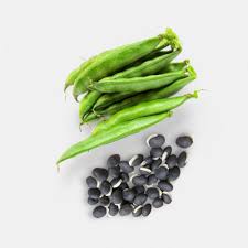 Image result for Dolichos