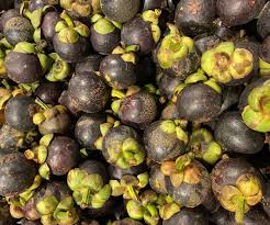 Image result for Garcinia mangostana