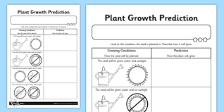 Plant Growth Prediction Worksheet Plants Living Things