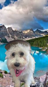 Received birthday gifts from friends