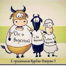 Прикольные поздравления курбан байрам прикольные картинки. Pin On Pozdravleniya I Pozhelaniya